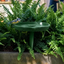 Coupelle pour oiseaux sauvages 4 Saisons avec pied à planter vert olive - Evena