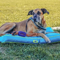Coussin chien en tissu déperlant et résistant Polo 95 noir taille M/L - Ferplast
