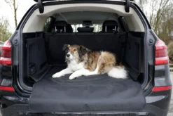 Couverture de protection pour voiture Economy 170 x 100 cm - Kerbl