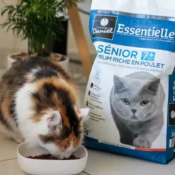 Croquettes chat Essentielle Stérilisé Sénior 7+ Premium poulet 3kg - Les recettes de Daniel
