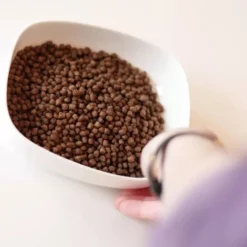 Croquettes chat Essentielle Chaton Premium poulet 3kg - Les recettes de Daniel