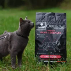 Croquettes chat Originelle Stérilisé Premium saumon 2,5kg - Les recettes de Daniel