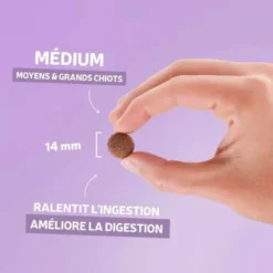 Croquettes chien Originelle Croissance Medium au poulet sans céréales 12kg - Les recettes de Daniel