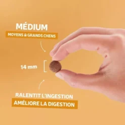 Croquettes chien Traditionnelle Adulte Medium au canard 400g - Les recettes de Daniel