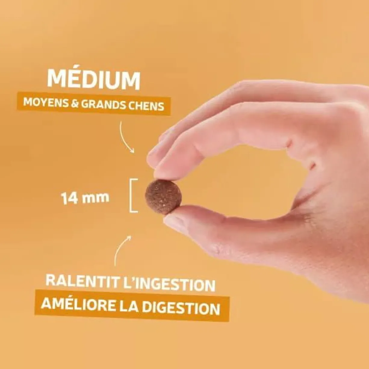 Croquettes chien Traditionnelle Adulte Medium au canard 400g - Les recettes de Daniel