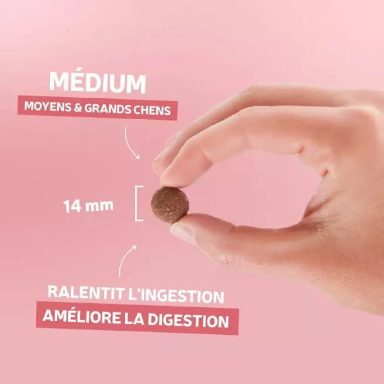 Croquettes chien Traditionnelle Adulte Medium au saumon 14kg - Les recettes de Daniel