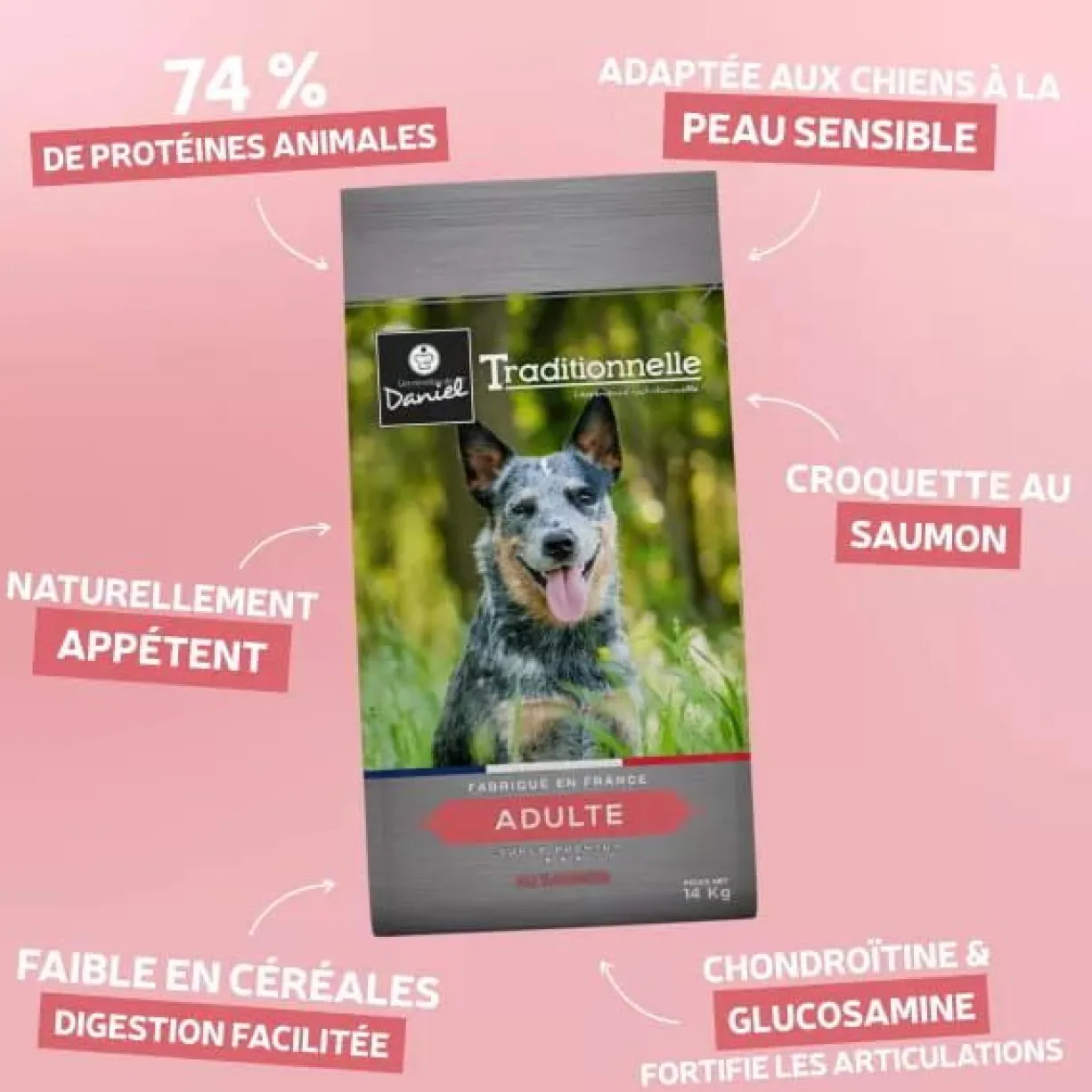 Croquettes chien Traditionnelle Adulte Medium au saumon 14kg - Les recettes de Daniel