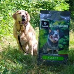 Croquettes chien Traditionnelle Allégé Medium au canard 14kg - Les recettes de Daniel