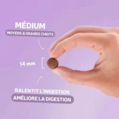 Croquettes chien Traditionnelle Croissance Medium au canard 14kg - Les recettes de Daniel