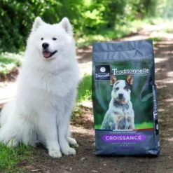 Croquettes chien Traditionnelle Croissance Medium au canard 14kg - Les recettes de Daniel