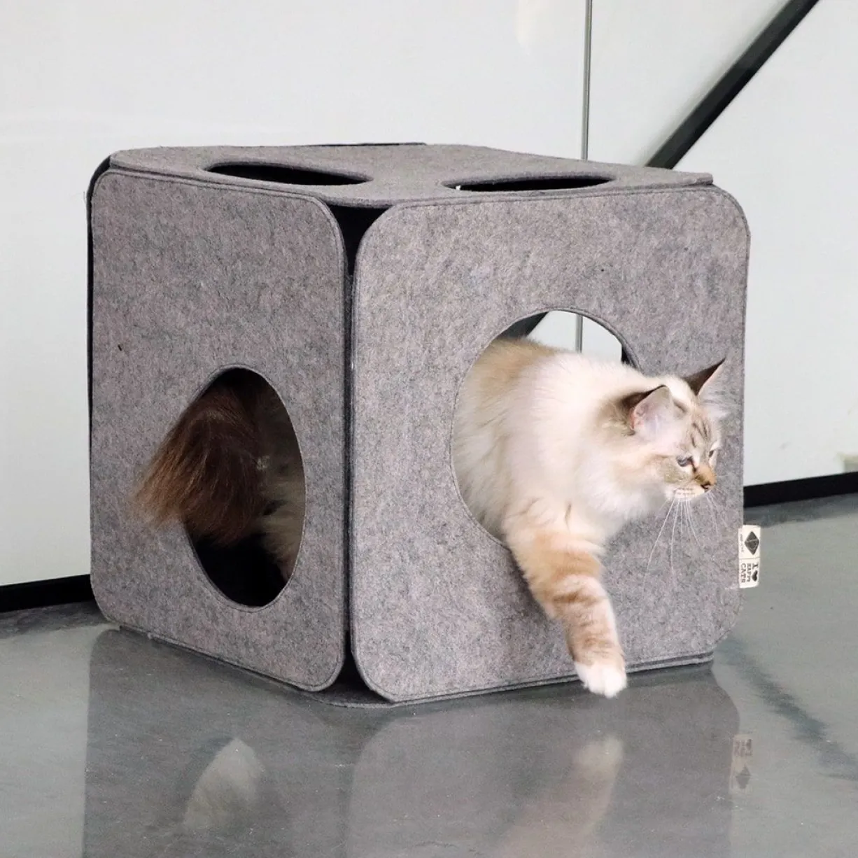 Cube de jeu pour chat en feutre Nala gris - D&D Home