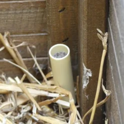 Détecteur de poux rouges pour poule et oiseaux par 5 - Bestico