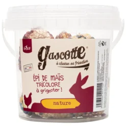 Epi de maïs tricolore poule et rongeur Gascotte 240g - Gasco