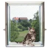 Filet de protection chat transparent L 3x4m - Kerbl