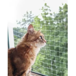 Filet de protection chat transparent L 3x4m - Kerbl