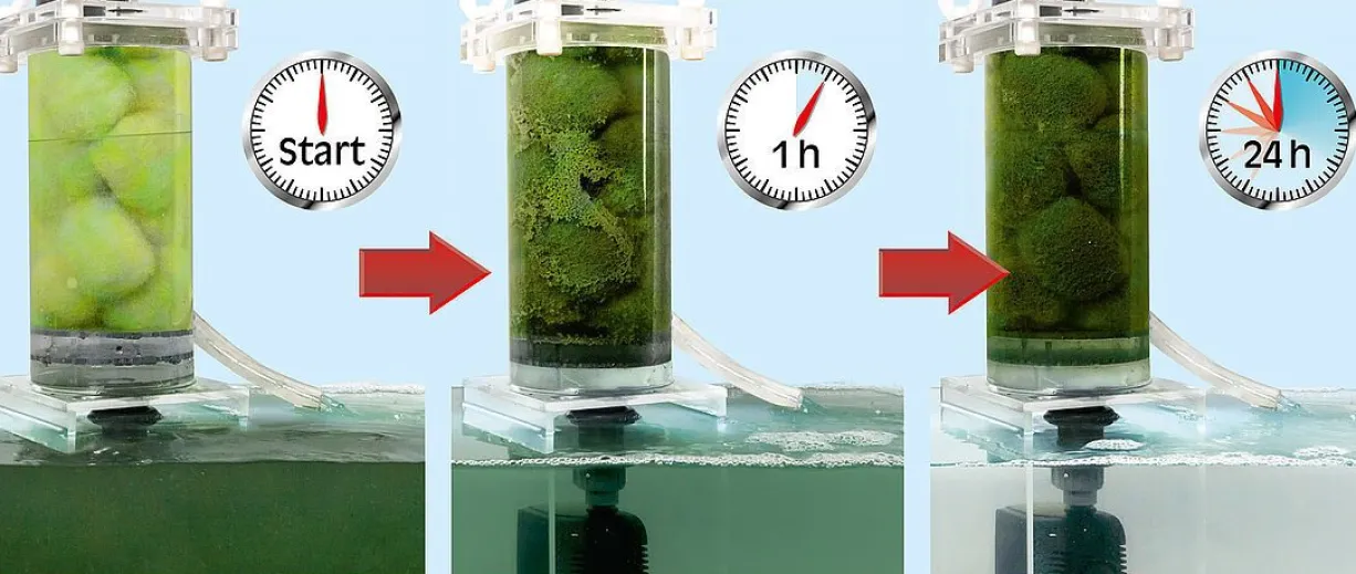 Filtration mécanique haute performance aquarium Crystal Clear Professional - Sera