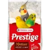 Fond de cage blanc sable anisé oiseaux avec coquilles d’huîtres Prestige Marine 25Kg - Versele Laga