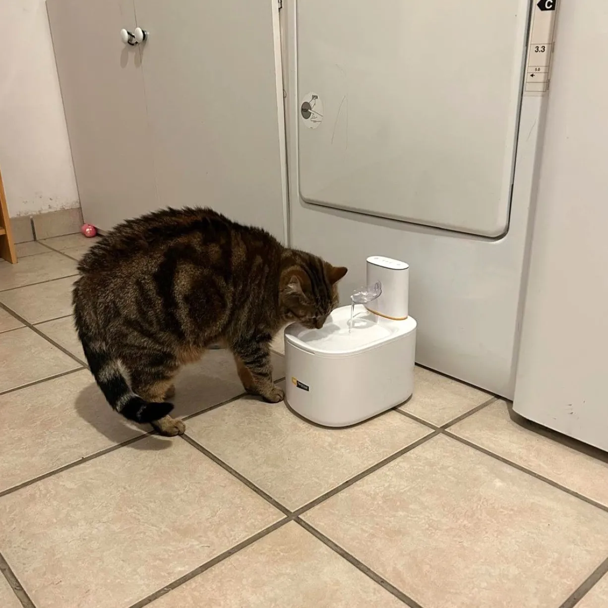 Fontaine à eau pour chat et petit chien sans fil Astra 3,5L - Ferplast