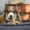 Friandise chien fromage séché nature taille M - Les recettes de Daniel