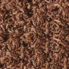 Friandise pour poissons larves de moustique rouge Bloodworms FD Snack Nature 50ML - Sera