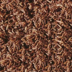 Friandise pour poissons larves de moustique rouge Bloodworms FD Snack Nature 50ML - Sera