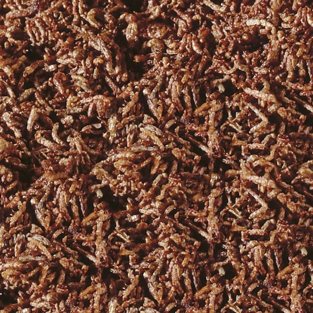 Friandise pour poissons larves de moustique rouge Bloodworms FD Snack Nature 50ML - Sera
