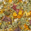 Friandise pour tortue terrestre fleurs Flowers’n’Loops Nature 140g - Sera