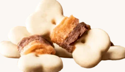 Friandises pour chiens Biscuits à la viande 100g - 8in1