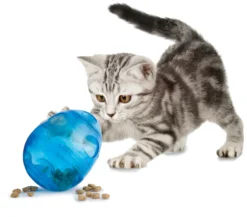 Funkitty™ Egg-Cersizer™ pour chat - Petsafe