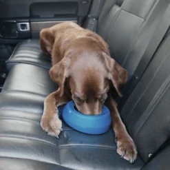 Gamelle pour chiens de voyage anti-débordement Bleu 0,7L – Kurgo