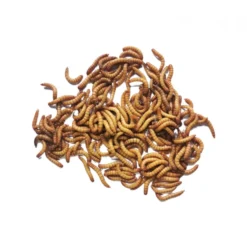 Granulés aux vers de farine poule 500g - Invers