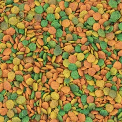 Granulés extrudés pour grande perruche multicouleurs NutriBird G14 Tropical 3kg - Versele Laga