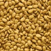 Granulés extrudés pour perroquet monocouleur NutriBird P15 Original 3kg - Versele Laga