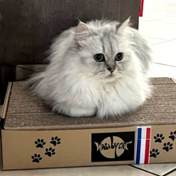 Griffoir en carton Chat va griffer dur 38x29x8cm - WasaByCat