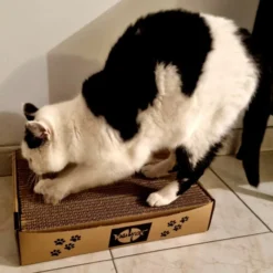 Griffoir en carton Chat va griffer dur 38x29x8cm - WasaByCat