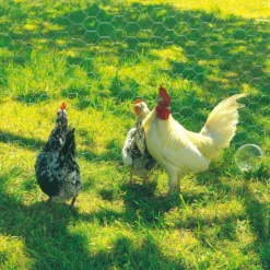 Grillage poule en acier galvanisé triple torsion 25m x 1m Galvanex - Nortene