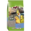 Grit avec Corail Oiseaux 2,5Kg