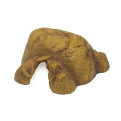 Grotte pour reptile et amphibien taille Medium - Exo Terra