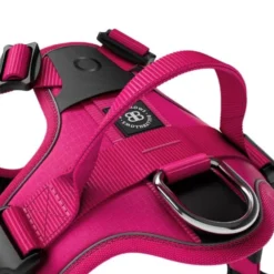 Harnais anti traction chien Hurricane rose carmin taille S - BullyBillows