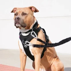 Harnais anti traction chien Hurricane noir taille S - BullyBillows