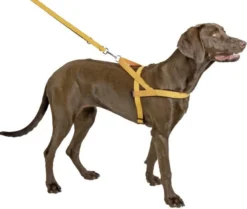 Harnais norvégien chien réfléchissant 60/75cm - Kerbl