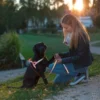 Harnais norvégien chien réfléchissant 70/90cm - Kerbl
