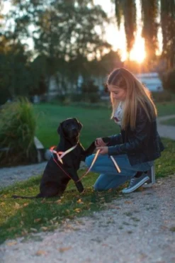 Harnais norvégien chien réfléchissant 70/90cm - Kerbl