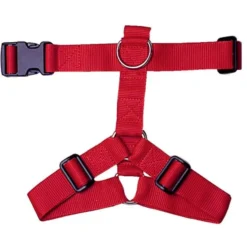 Harnais nylon 40mm 50/95cm - Rouge