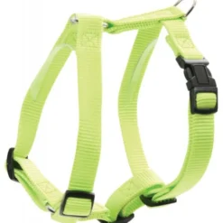 Harnais Nylon Réglable 40mm - Anis