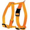 Harnais Nylon Réglable 20mm - Orange