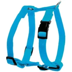 Harnais Nylon Réglable 15mm - Turquoise