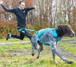 Harnais Pour chien Canicross Phoenix ALM Bleu Taille XL - IDog