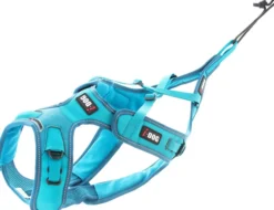 Harnais Pour chien Canicross Phoenix ALM Bleu Taille XL - IDog
