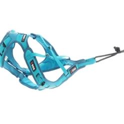 Harnais Pour chien Canicross Phoenix ALM Bleu Taille XL - IDog